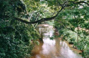 Hendala