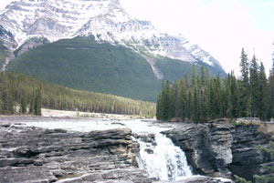 Jasper