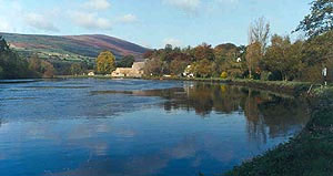 Carlow