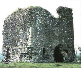 Cavan